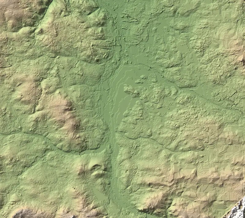 A preview of the Białowieża National Park print, shaded from its elevation