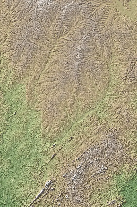 A preview of the Taï National Park print, shaded from its elevation