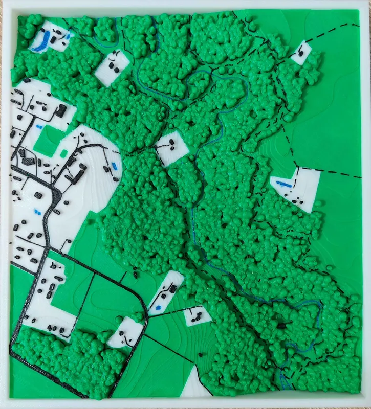 3D printed map of green woods with every tree raised, small white plots with buildings, gray roads, footpaths and a stream.